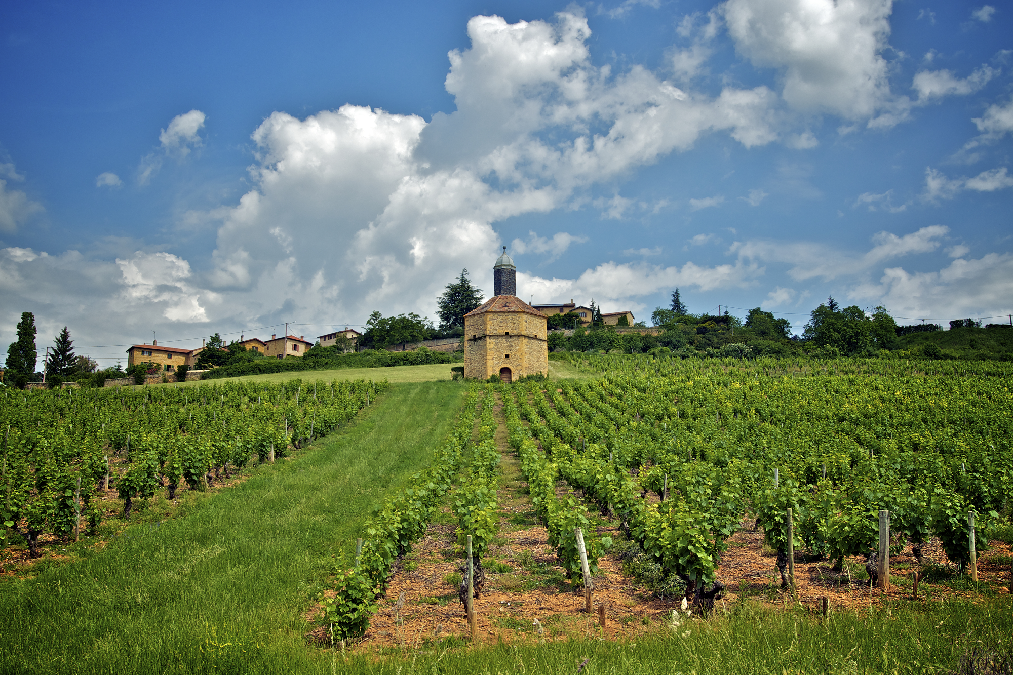 Le Beaujolais © Arnaud Hambert